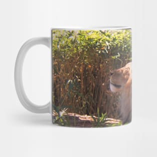 Lion in the Sun Mug